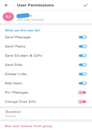 Telegram group permission user level