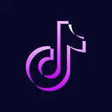 TikTok Downloader Bot