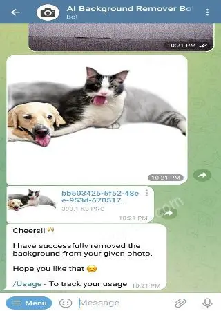 Image Background Remover preview 2