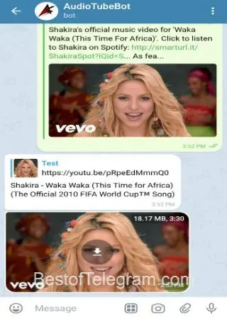 AudioTubeBot preview 4