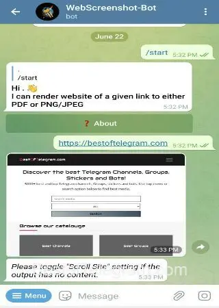 WebScreenshot-Bot preview 2