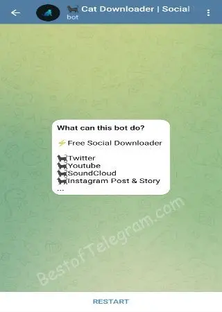 🐈‍⬛️ Cat Downloader preview 1