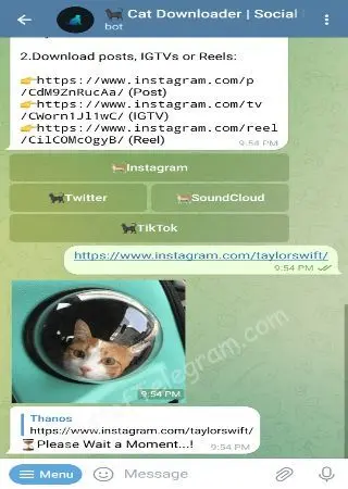 🐈‍⬛️ Cat Downloader preview 2