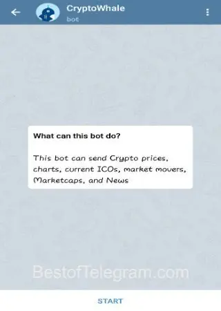 CryptoWhale preview 1