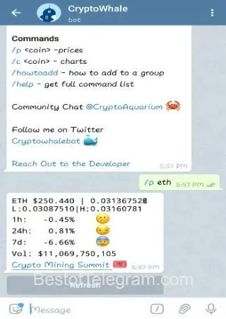 CryptoWhale preview 2