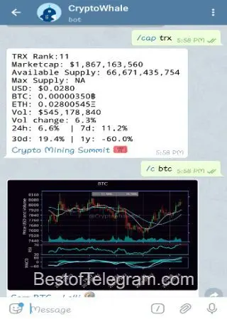 CryptoWhale preview 3