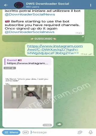 DWS Downloader Social preview 2