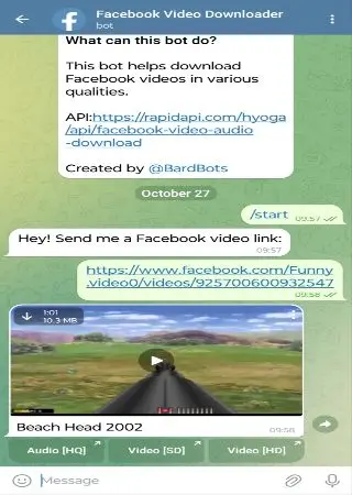 Facebook Video Downloader preview 2