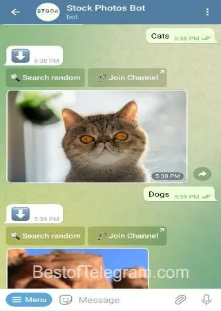 Stock Photos Bot preview 2