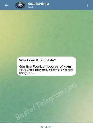 GoalsNinja preview 1