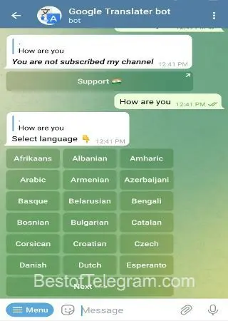 Google Translator Bot preview 2