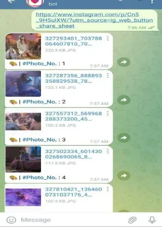 Instagram Downloader preview 2