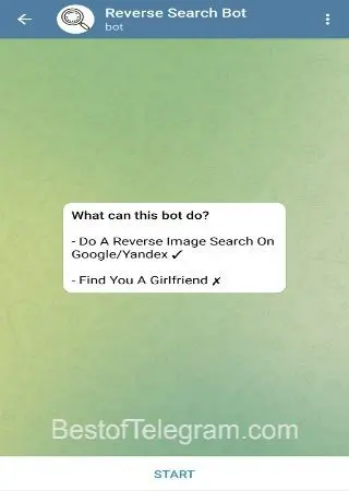 Reverse Search Bot preview 1