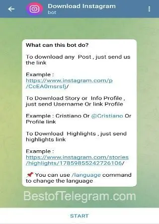 Download Instagram preview 1