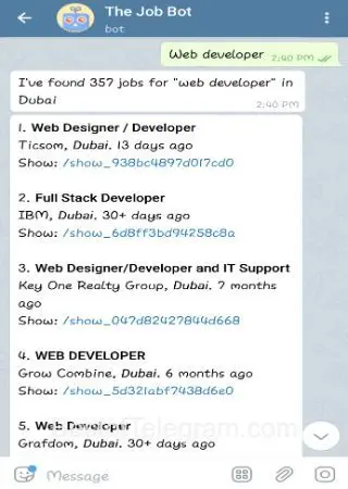 The Job Bot preview 3