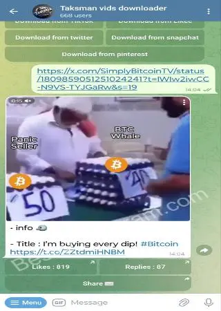 Taksman vids downloader preview 2