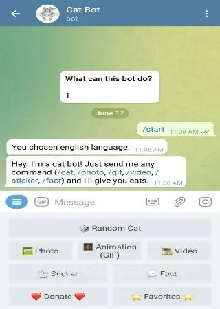 Cat Bot preview 2