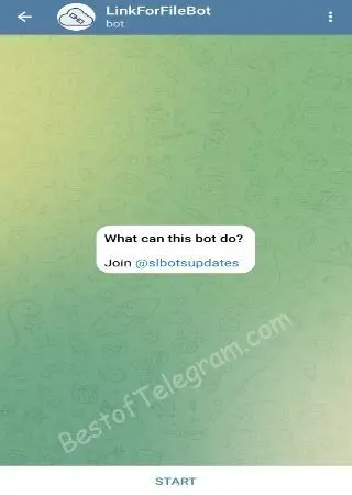 Link For File preview 1