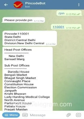 PincodeBot preview 3