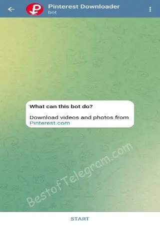 Pinterest Photo & Video preview 1