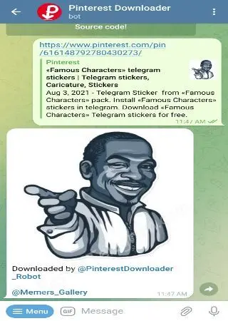 Pinterest Photo & Video preview 2
