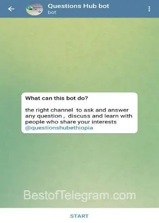 Questions Hub bot preview 1