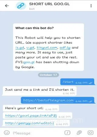 SHORT URL GOO.GL preview 2