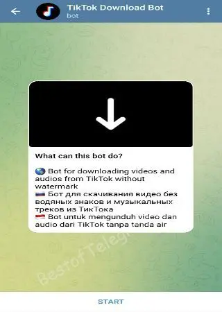 TikTok Download preview 1