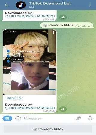 TikTok Download preview 3