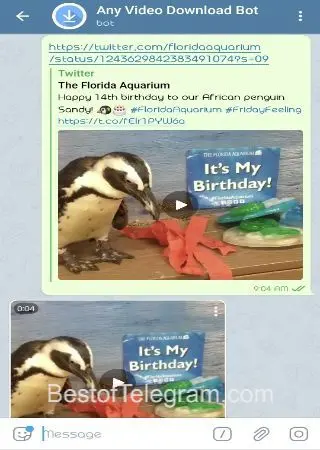 Video Download Bot preview 2