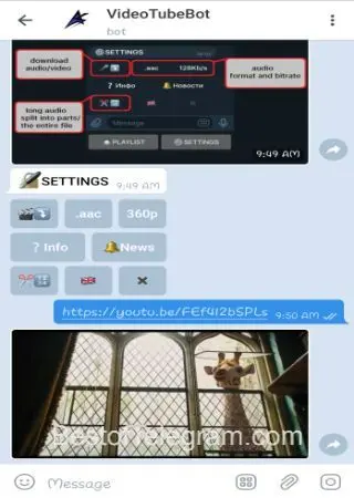 VideoTubeBot preview 2