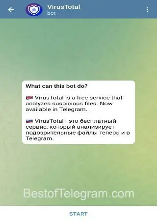 VirusTotal preview 1