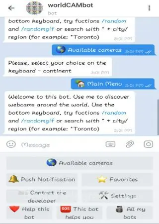 worldCAMbot preview 3