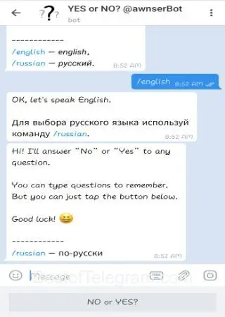 YES or NO? @awnserBot preview 3