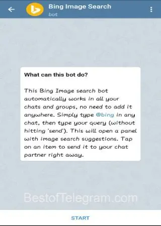 Bing Image Search preview 1