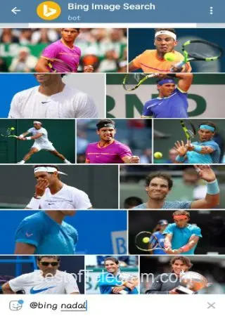 Bing Image Search preview 2