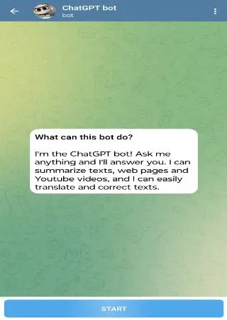 ChatGPT bot preview 1