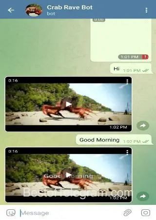 Crab Rave Bot preview 2