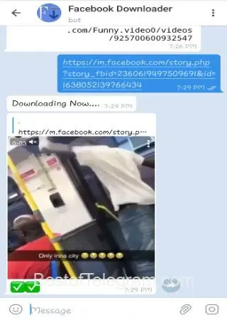 Facebook Downloader preview 2