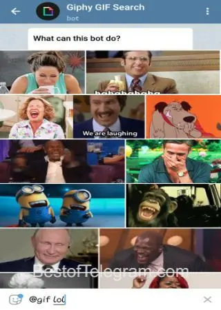 Giphy GIF Search preview 2