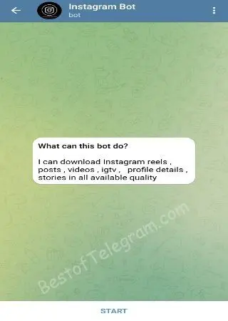 Instagram downloader new preview 1