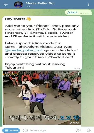 Media Puller Bot preview 2