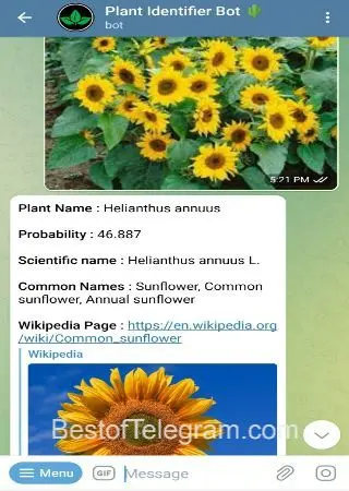 Plant Identifier Bot preview 3