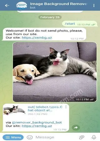 Image Background Remover preview 2