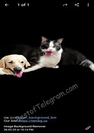 Image Background Remover preview 3