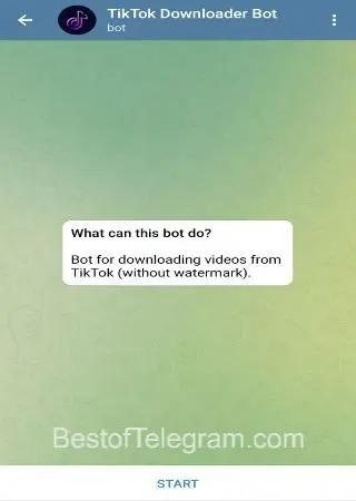 TikTok Downloader Bot preview 1