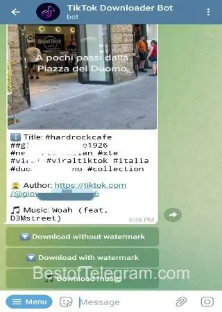 TikTok Downloader Bot preview 2