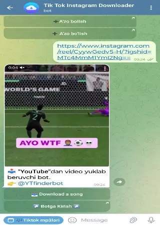 Tik Tok Instagram Downloader preview 2
