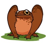 Ammy the Anurognathus