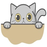 Cat Fullmoon sticker pack